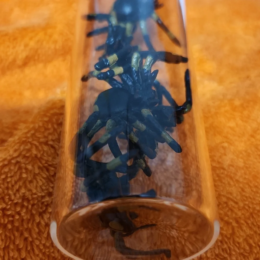 Creepy villa these spiders